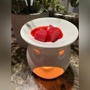 Wax Melts Sandalwood fragrance 150g